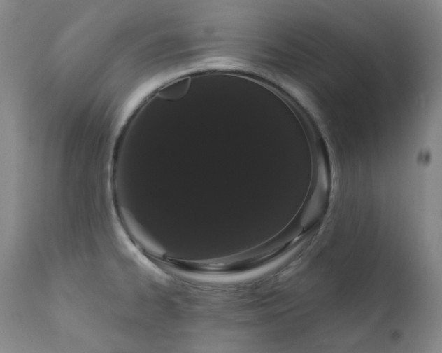 X0000111051334200906251424