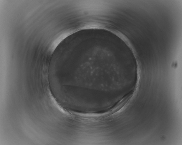 X0000111051337200906251424