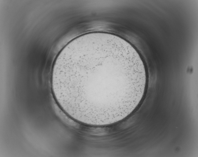 X0000111051338200906251424