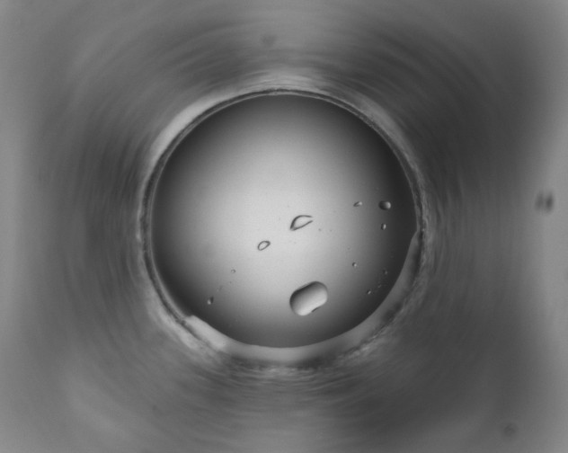 X0000111051339200906251424