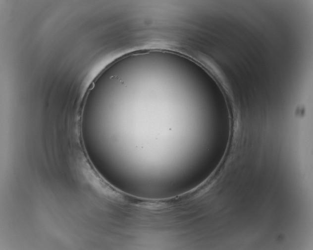 X0000111051340200906251424
