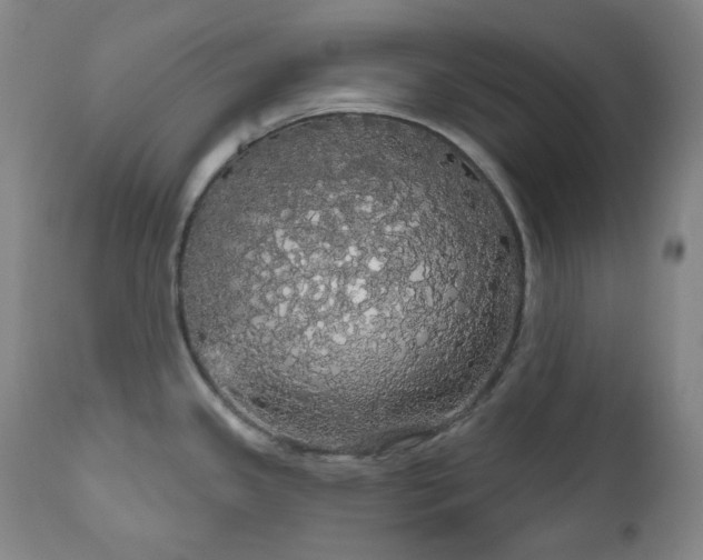 X0000111051341200906251424