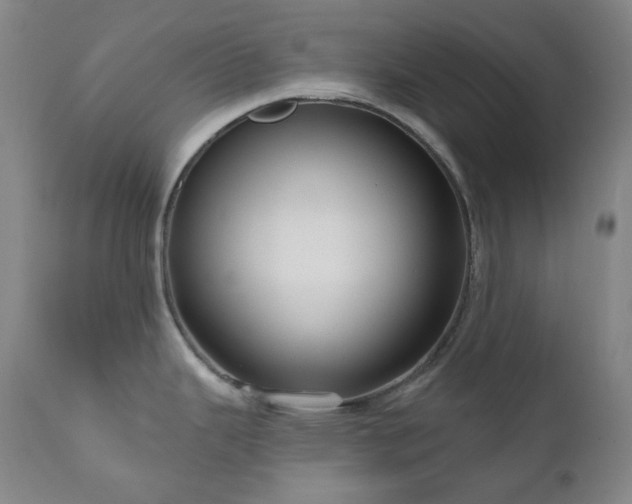 X0000111051343200906251424