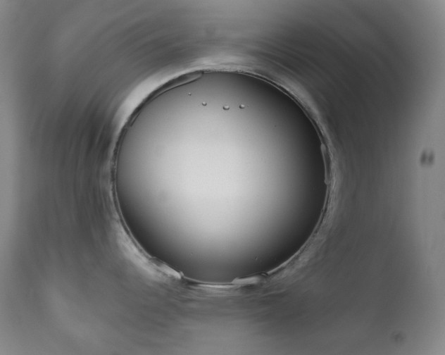 X0000111051344200906251424