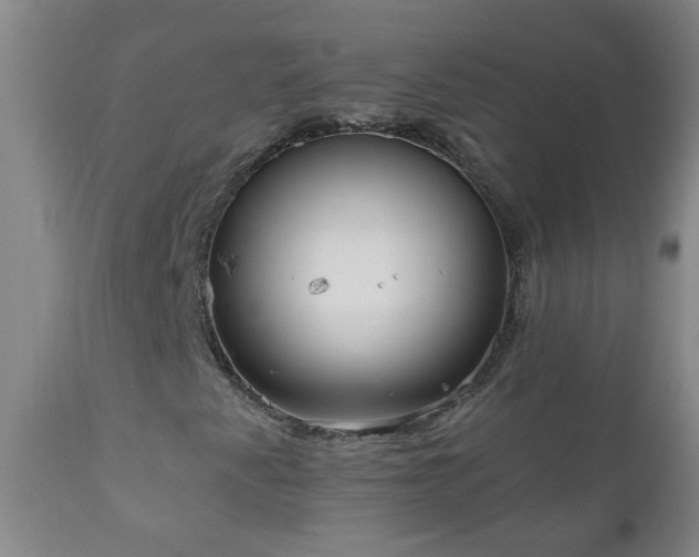 X0000111051345200906251424