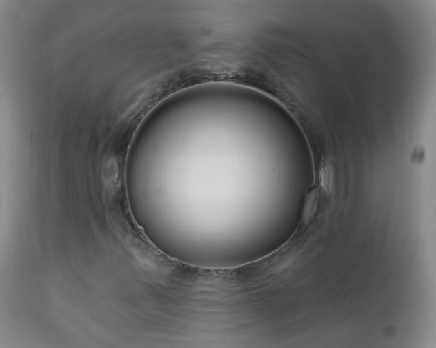 X0000111051347200906251424