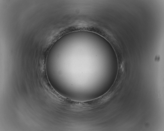 X0000111051348200906251424