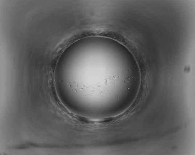 X0000111051349200906251424