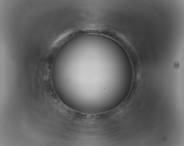 X0000111051350200906251424