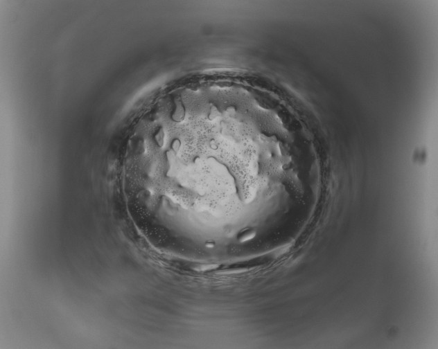 X0000111051351200906251424