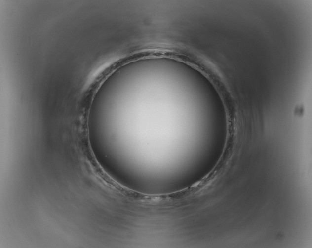 X0000111051352200906251424