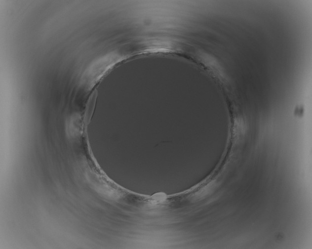 X0000111051353200906251423