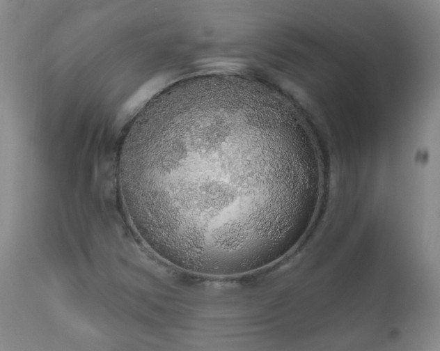 X0000111051354200906251423