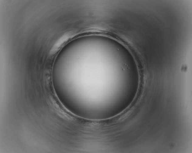 X0000111051355200906251423