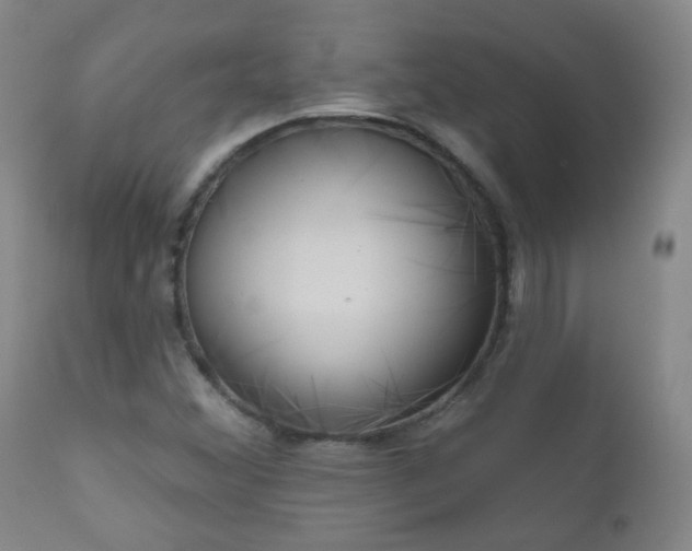 X0000111051356200906251423