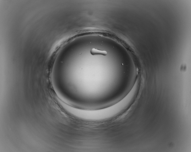 X0000111051357200906251423