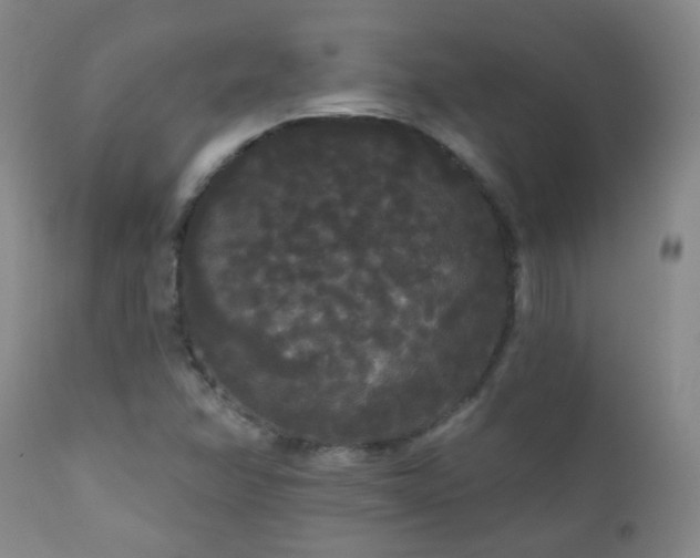X0000111051358200906251423