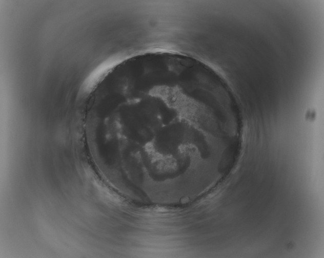 X0000111051359200906251423