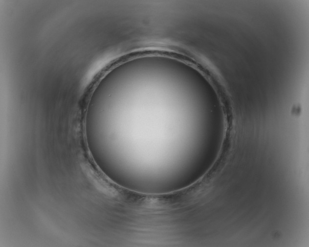 X0000111051360200906251423