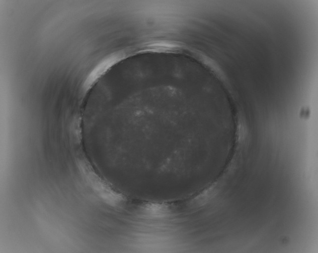 X0000111051362200906251423