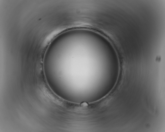 X0000111051363200906251423