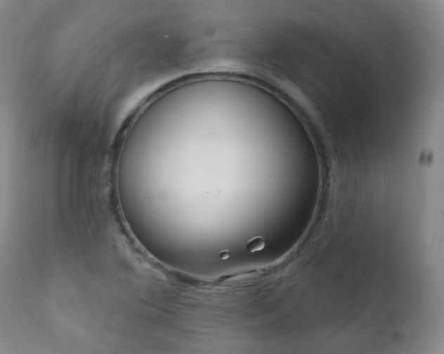 X0000111051364200906251423