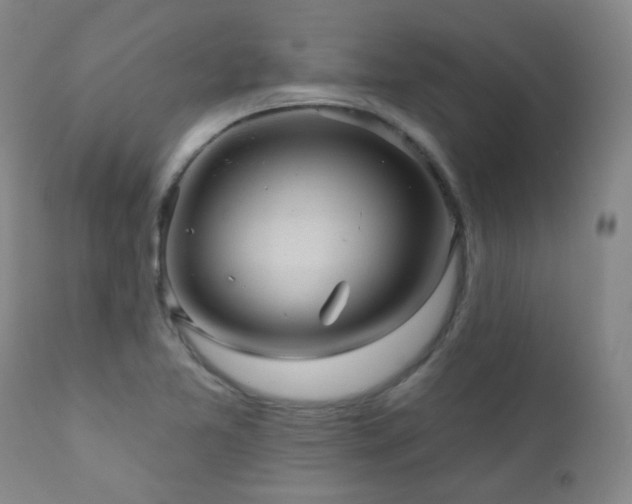 X0000111051365200906251423