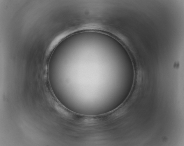 X0000111051366200906251423