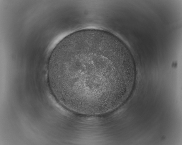 X0000111051367200906251423