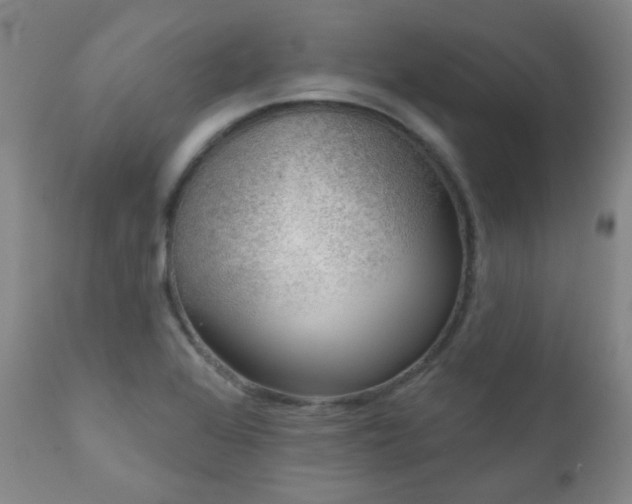 X0000111051368200906251423