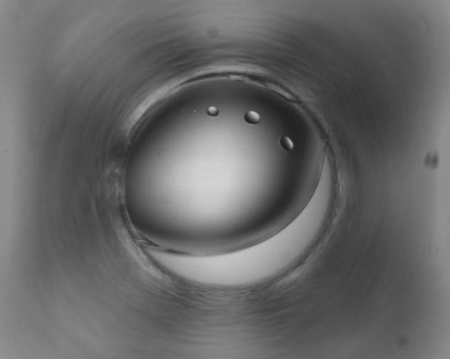 X0000111051369200906251423