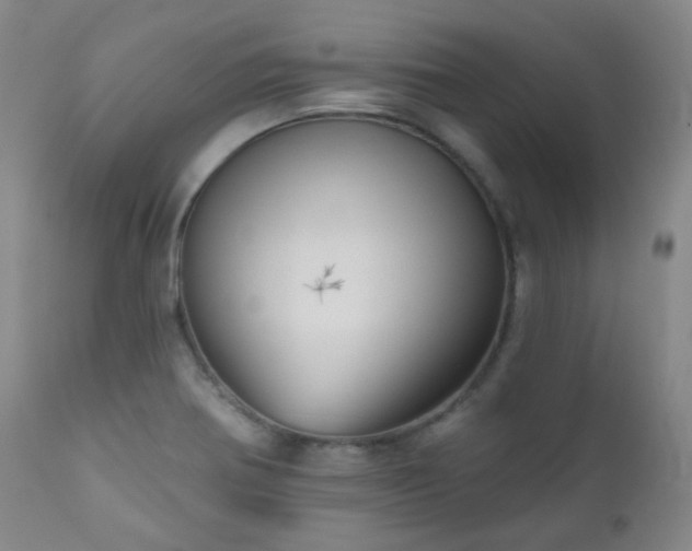 X0000111051370200906251423