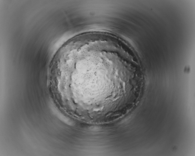 X0000111051371200906251423
