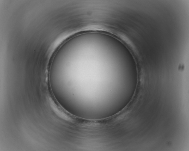 X0000111051372200906251423