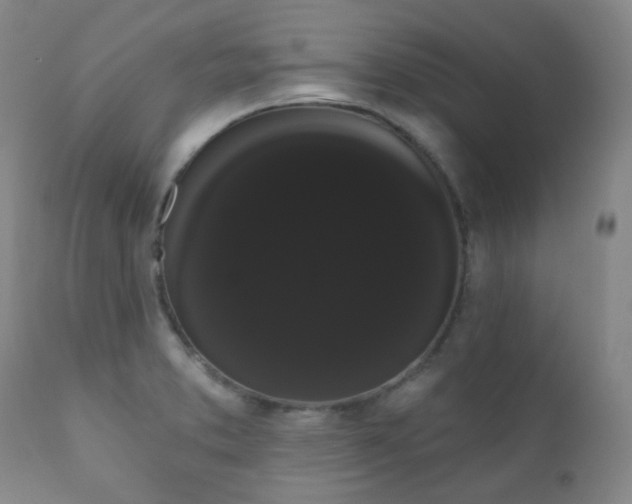 X0000111051373200906251423