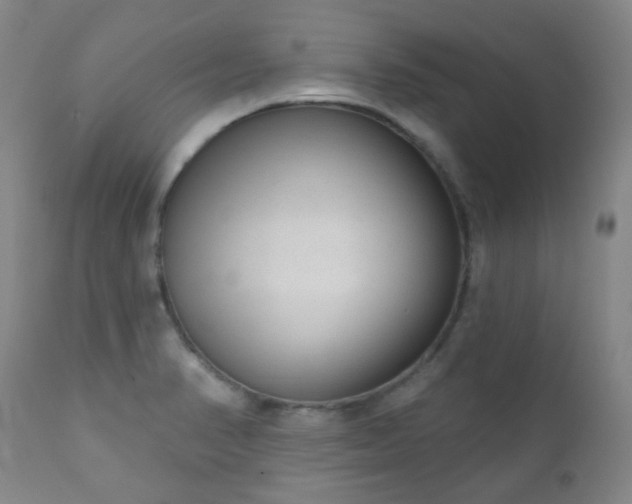X0000111051374200906251423