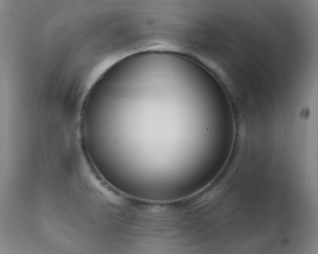 X0000111051375200906251423