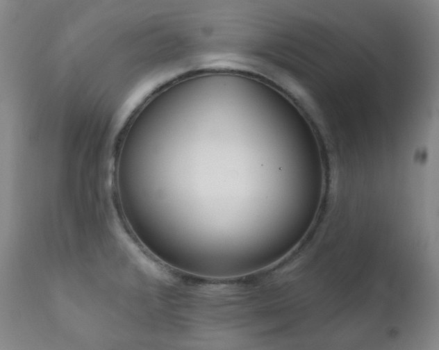 X0000111051376200906251423