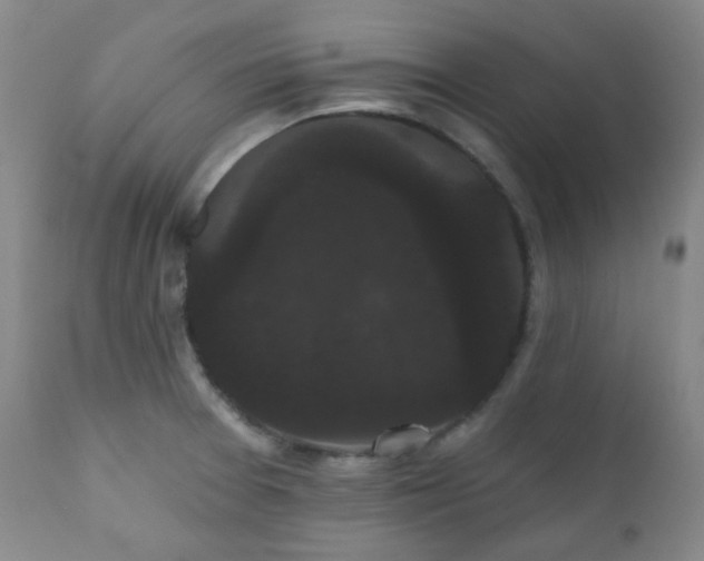 X0000111051377200906251423