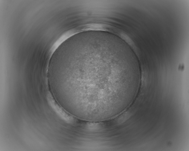 X0000111051378200906251423
