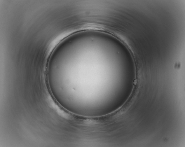 X0000111051379200906251423