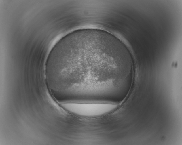 X0000111051380200906251423