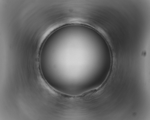 X0000111051384200906251423