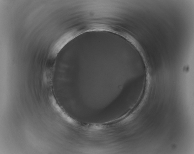 X0000111051385200906251423