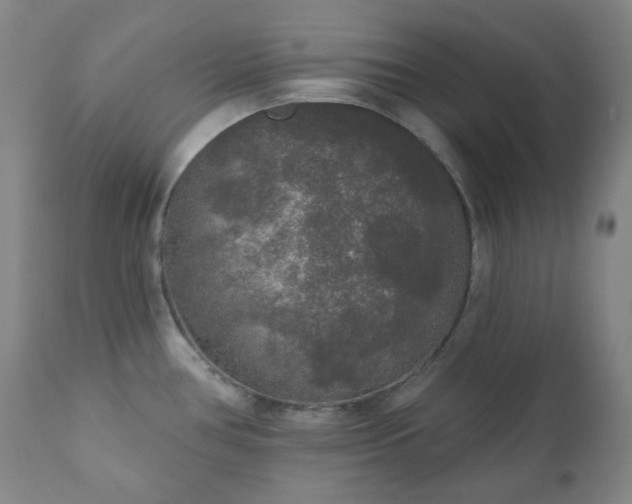 X0000111051386200906251423
