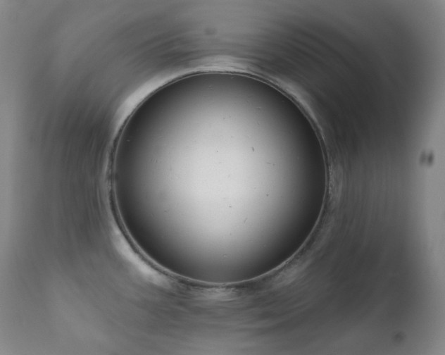X0000111051387200906251423