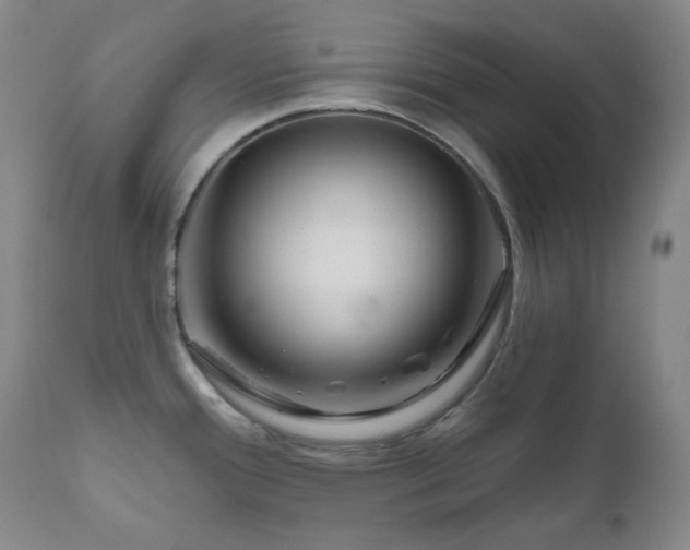 X0000111051388200906251423