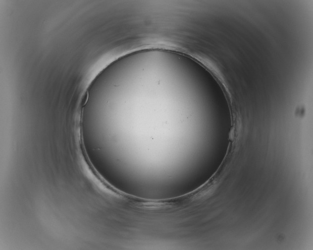 X0000111051391200906251423