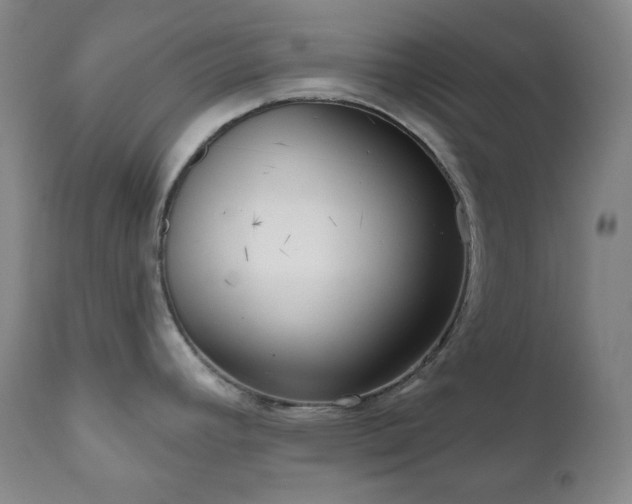 X0000111051392200906251423
