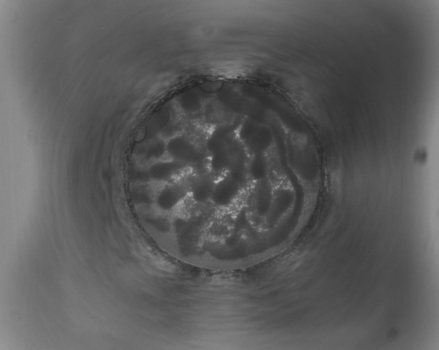 X0000111051393200906251422